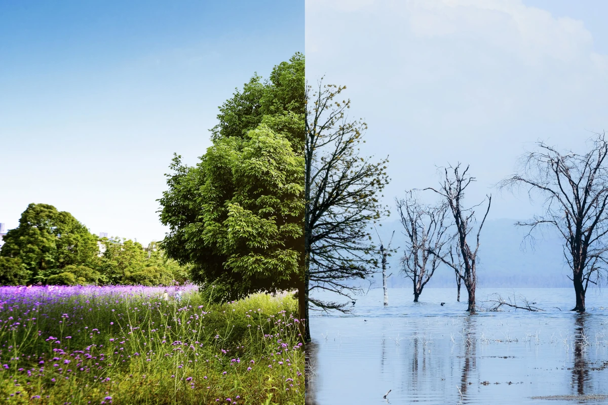 Jak groźne są zmiany klimatu?