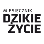 dzikie-zycie