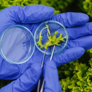 biotechnologia-w-rolnictwie
