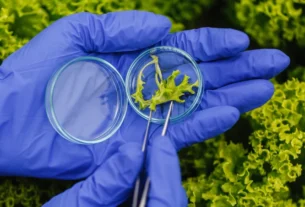 biotechnologia-w-rolnictwie