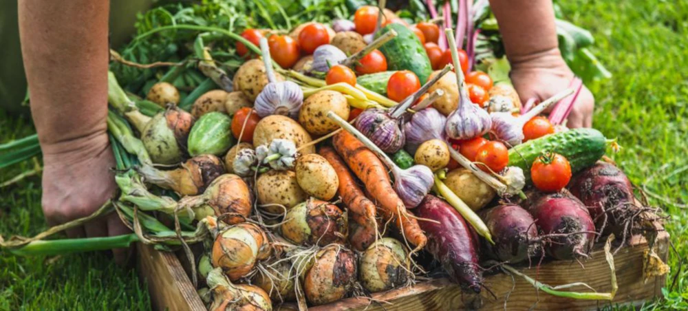 Rolnictwo ekologiczne i biodynamiczne