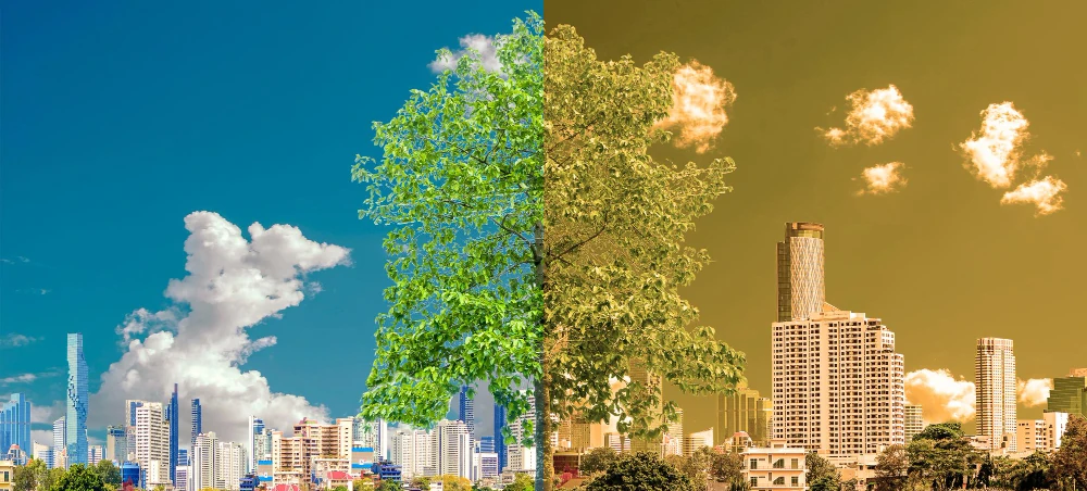 Adaptacja do zmian klimatycznych w miastach