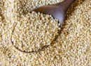 Amarantus– naturalny sposób regeneracji i fitoremediacji gleby z metali ciężkich