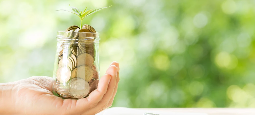 Korygowanie wykonalności finansowej