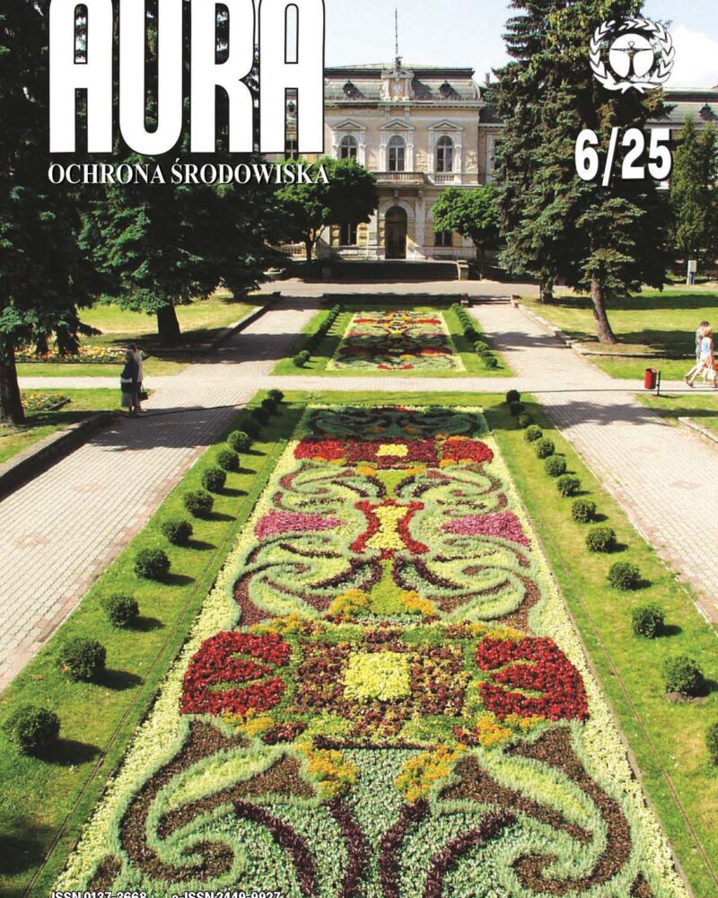 Okładka Aura Numer 06/2025