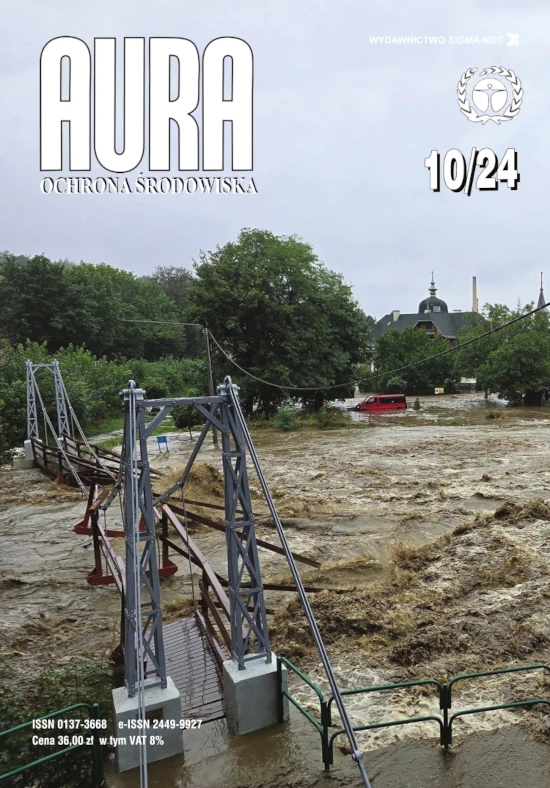 Okładka Aura Numer 10/2024