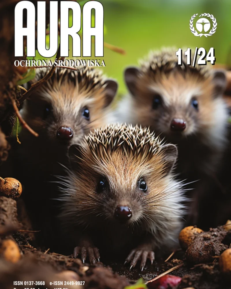 Okładka Aura Numer 11/2024