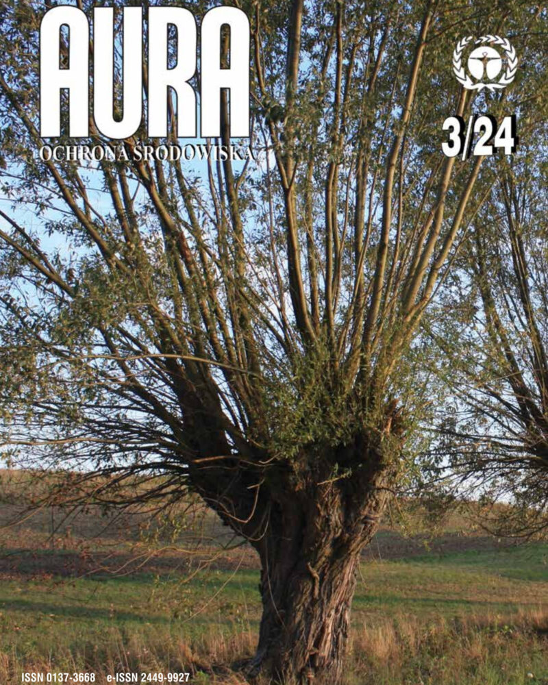 Okładka Aura Numer 03/2024
