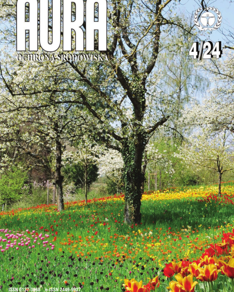 Okładka Aura Numer 04/2024
