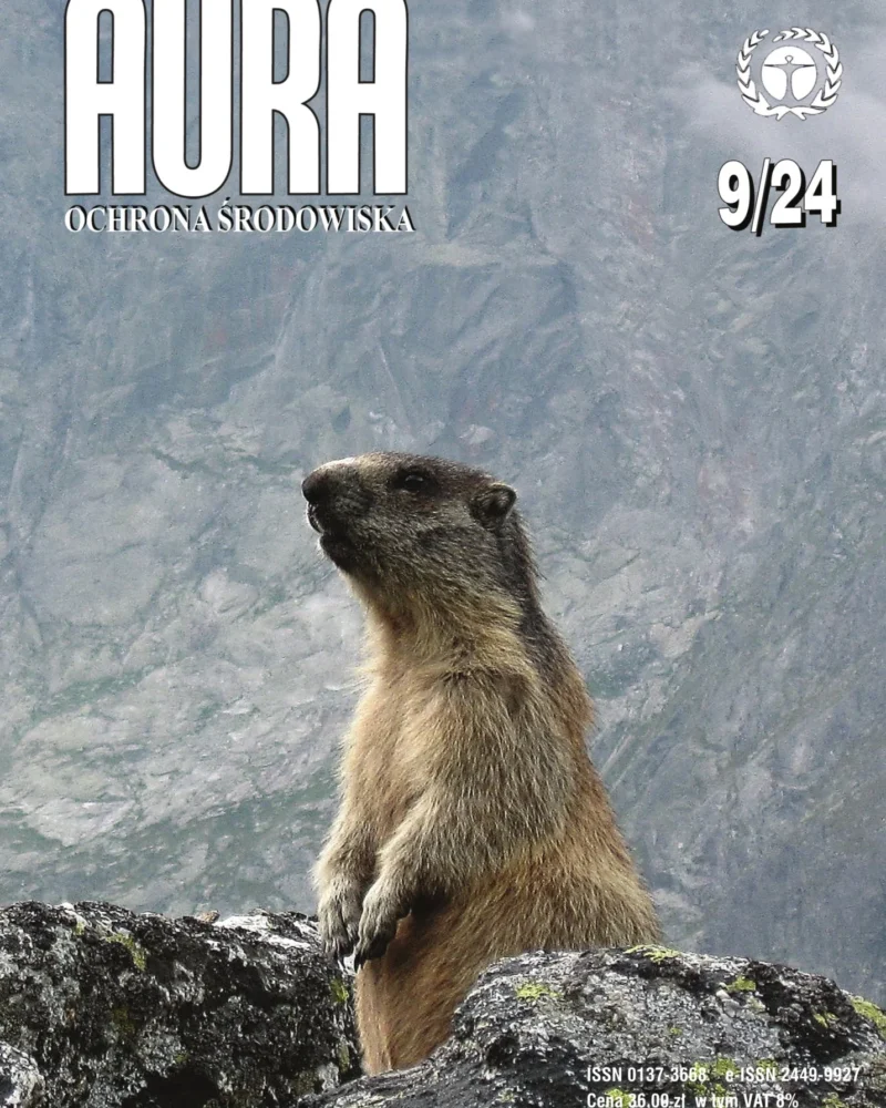 Okładka Aura Numer 09/2024